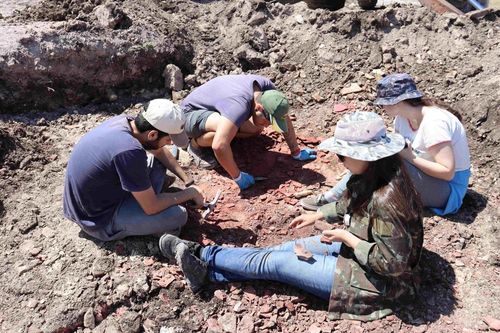 70 anos depois, mais de 100 f�sseis s�o encontrados em s�tio paleontol�gico perdido no RS