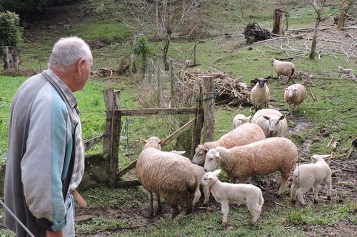 Estudo associa clima � ocupa��o do Vale do Taquari por imigrantes italianos nos s�culos XIX e XX