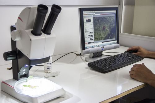 Estudantes da Univates s�o selecionadas no Programa de Doutorado Sandu�che para estudar na It�lia e na Alemanha
