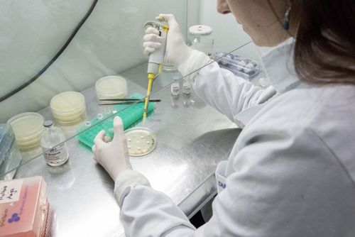 Univates lan�a edital de sele��o de alunos para mestrado em Ci�ncias M�dicas e doutorado em Biotecnologia com bolsas do CNPq