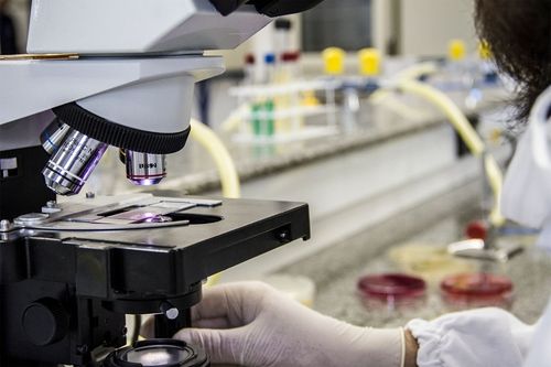 Cinco projetos da Univates recebem verba do Edital TechFuturo 2022