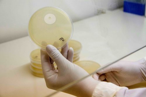 Projeto de pesquisa desenvolvido na Univates busca ferramentas para aux�lio diagn�stico e terap�utico de doen�as infecciosas