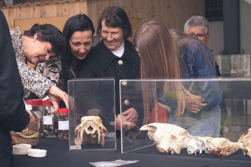 Dia da Ci�ncia em Carlos Barbosa tem participa��o do Museu de Ci�ncias da Univates