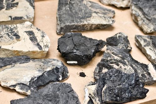Pesquisadores revisam achados e fazem novas descobertas sobre paleoinc�ndios na Fran�a entre 11 milh�es e 7 milh�es de anos