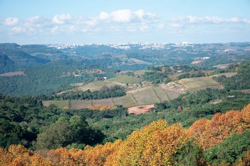 A essencialidade do Plano Diretor para a conserva��o de biomas