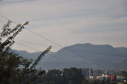 Parceria entre Certel e Univates aprimora sistema de podas nas �reas de influ�ncia das redes el�tricas