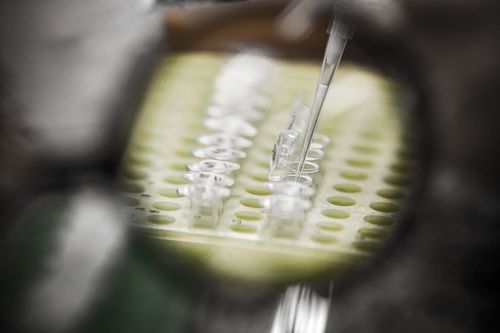 Univates obt�m Certificado de Qualidade em Biosseguran�a para realiza��o de pesquisas cient�ficas com organismos geneticamente modificados