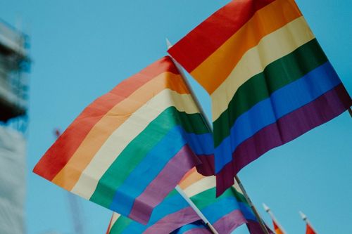TCC analisa a percep��o da popula��o LGBTQIA+ do Vale do Taquari sobre a sua representa��o nas publicidades brasileiras