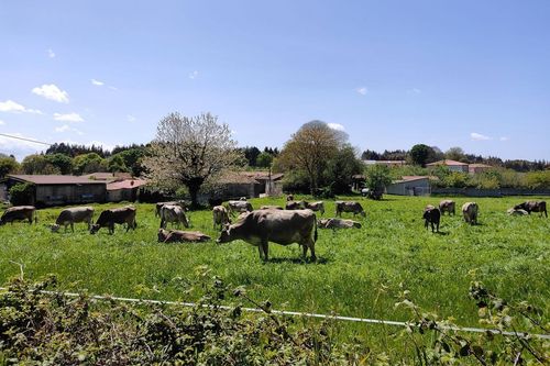 Projeto de pesquisa lan�a olhar para indicadores de gest�o em sistemas produtivos agroalimentares