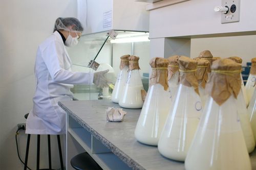 Manteiga de soro de queijo, produto promissor e pouco explorado pela ind�stria l�ctea, � tema de pesquisa