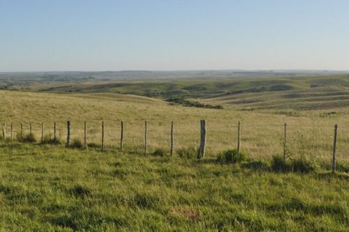 Pesquisadores da Univates integram estudo in�dito sobre biodiversidade do Pampa: mais de 12,5 mil esp�cies foram catalogadas