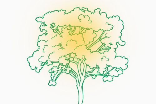 Professora do PPGAD e PPGSAS ser� palestrante em Encontro Nacional de Pesquisadores em Direito Ambiental