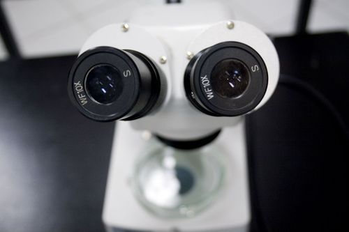 Microsc�pios e mist�rios impercept�veis s�o tema de nova mostra do Museu de Ci�ncias Univates