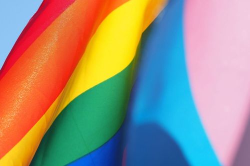 A retifica��o de prenome e g�nero de pessoas trans nos Cart�rios de Registro