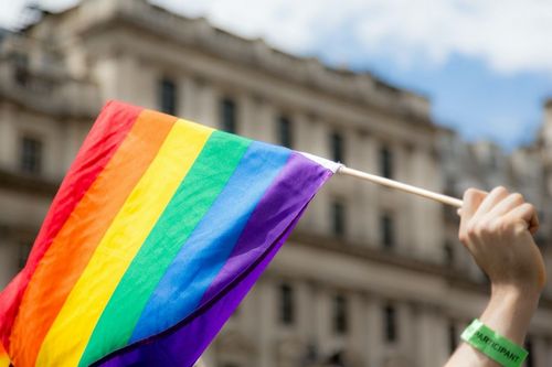 Entre aceita��o e estranhamento: quest�es sobre ser professor e homossexual