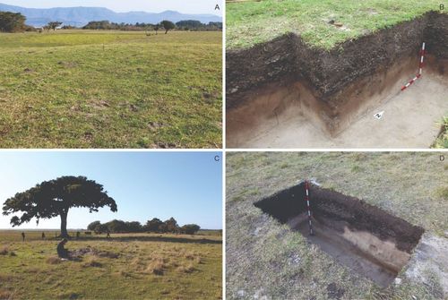 Pesquisa divulga novos dados sobre a arqueologia do litoral norte do Rio Grande do Sul