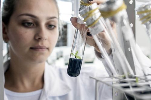 Univates seleciona pesquisadores para bolsas de Desenvolvimento Tecnol�gico e Industrial