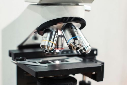 Univates busca volunt�rios com alergia a �caros para participarem de pesquisa cl�nica