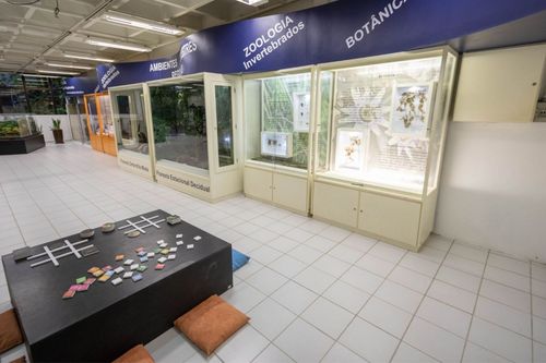 Retrospectiva: confira as a��es realizadas pelo Museu de Ci�ncias da Univates em 2024