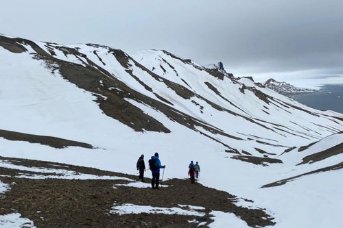 Di�rio de bordo, viagem � Ant�rtica, parte IV