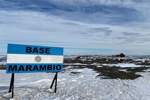 Di�rio de bordo, viagem � Ant�rtica, parte V