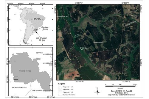 Pesquisa revela alta heterogeneidade e riqueza flor�stica em florestas ribeirinhas no Sul do Brasil