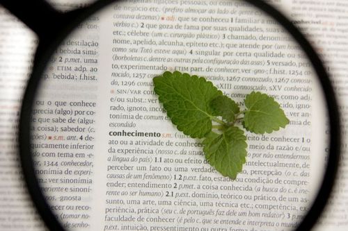 Prorrogadas as submiss�es de trabalhos cient�ficos para o IX Congresso de Ci�ncia, Tecnologia e Conhecimento da Univates