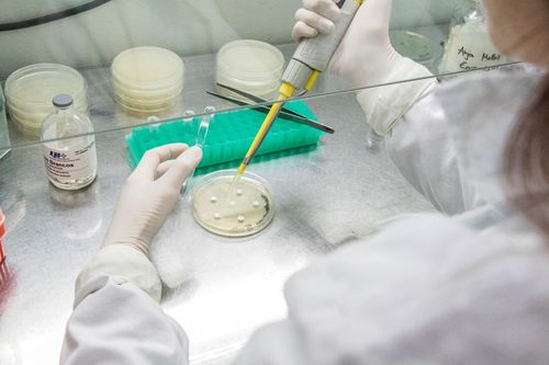 Univates seleciona bolsista de DTI para projeto de pesquisa na �rea de biotecnologia