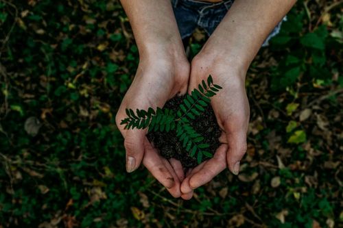 Ensino de hist�ria, meio ambiente e agricultura sustent�vel: Univates apresenta pesquisas publicadas em canais cient�ficos na �ltima semana