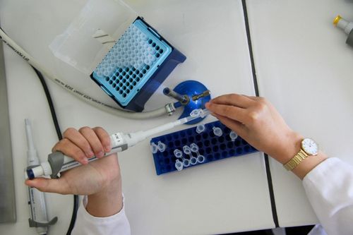 Univates participa de projeto que transforma bioativos em inova��o e impacto regional