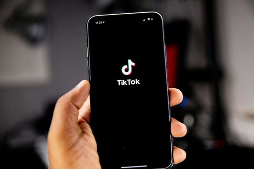 Do Instagram e do TikTok � sala de aula: bolsistas do Pibid usam linguagem das redes sociais para ensinar Hist�ria, Linguagens e Ci�ncias Biol�gicas